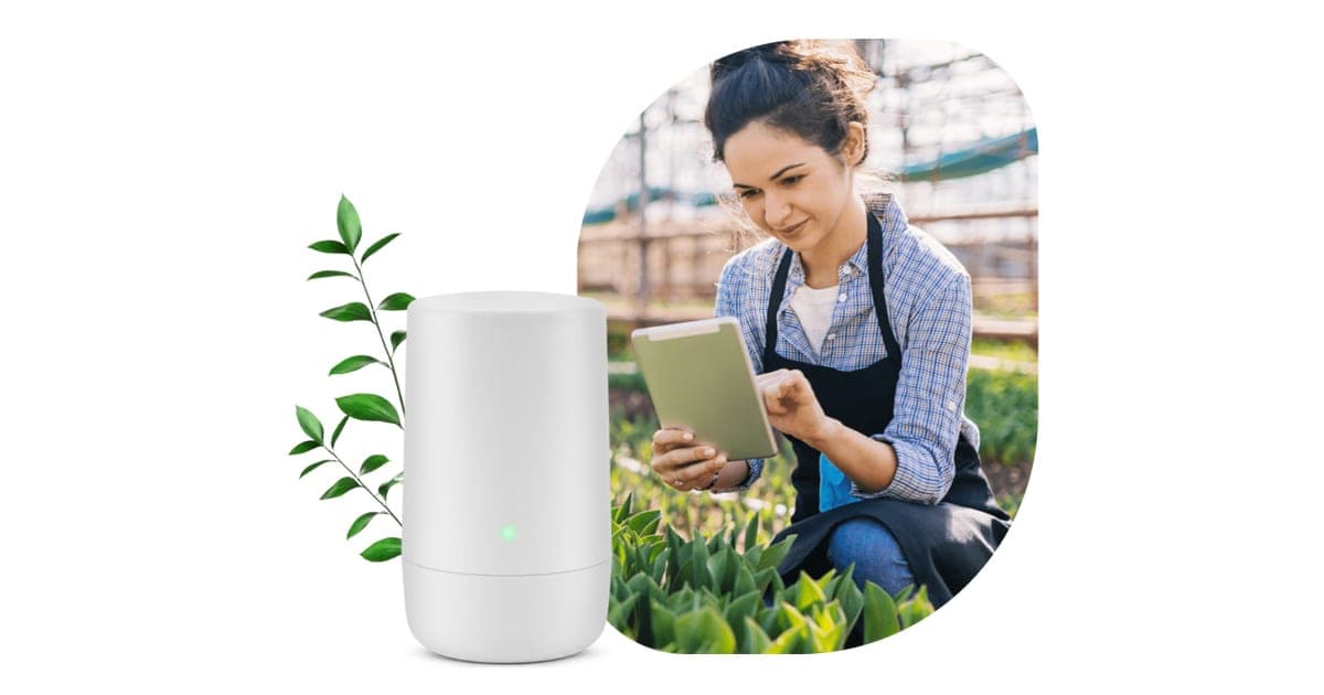 Experience Lightning-Fast Home Internet with TELUS PureFibre — Available at Bolt Wireless