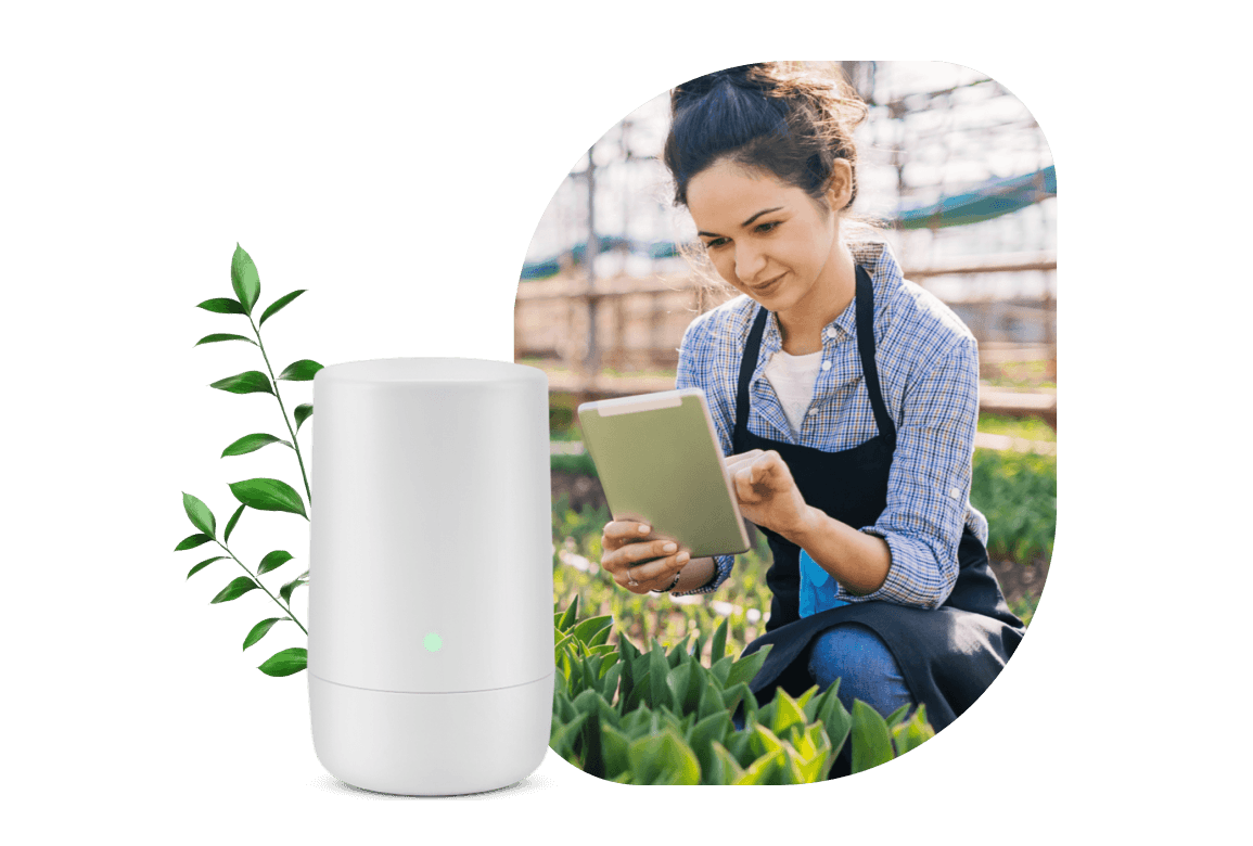 TELUS Business Connect cloud phone system, available through Bolt Wireless