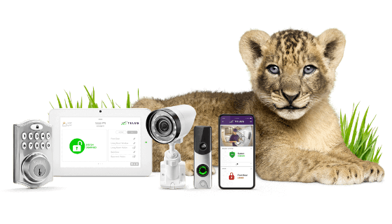 TELUS SmartHome Security camera and door sensor kit