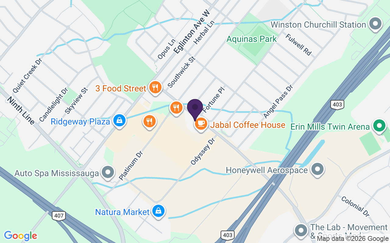 Map showing TELUS & Koodo Store Mississauga (Platinum) at Unit 42-3470 Platinum Dr, Mississauga, ON L5M 2S4